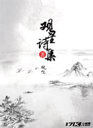 观星诗集封面