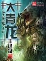 大青龙封面