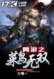 网游之菜鸟无双封面