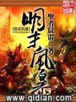 明末风暴封面
