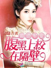 霸道私宠：腹黑老公在隔壁封面