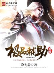 极品辅助系统封面