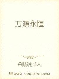 万源永恒封面